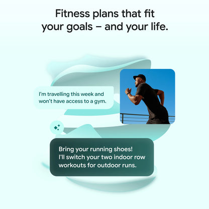 Google Fitbit Air (Obsidian Strap, Size : Free Size)